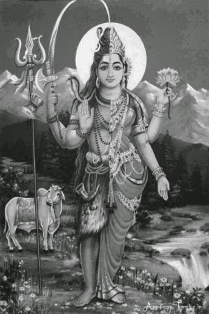 Ardhnarishwara