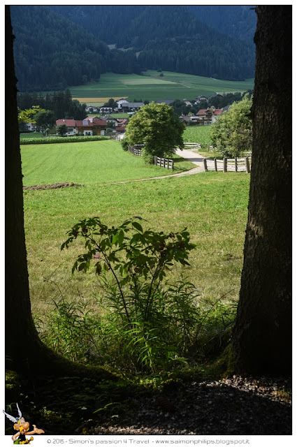 Rasun-di-sotto-bosco Rasun-di-sotto-bosco