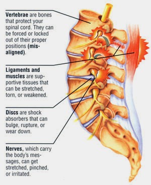 zddp msds