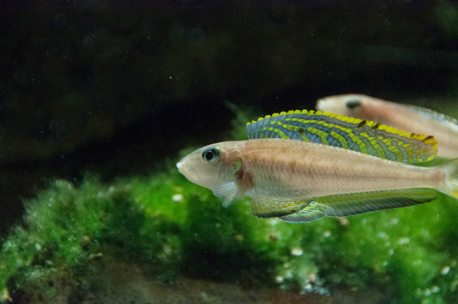 Austria Exchange Haus Des Meeres