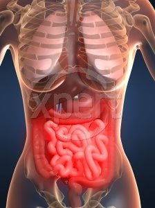 http://4.bp.blogspot.com/-d50PRJNsr0o/TdpMHwZLC1I/AAAAAAAAAE8/QUrxHyuPQuU/s320/ORGAN+TUBUH.jpg