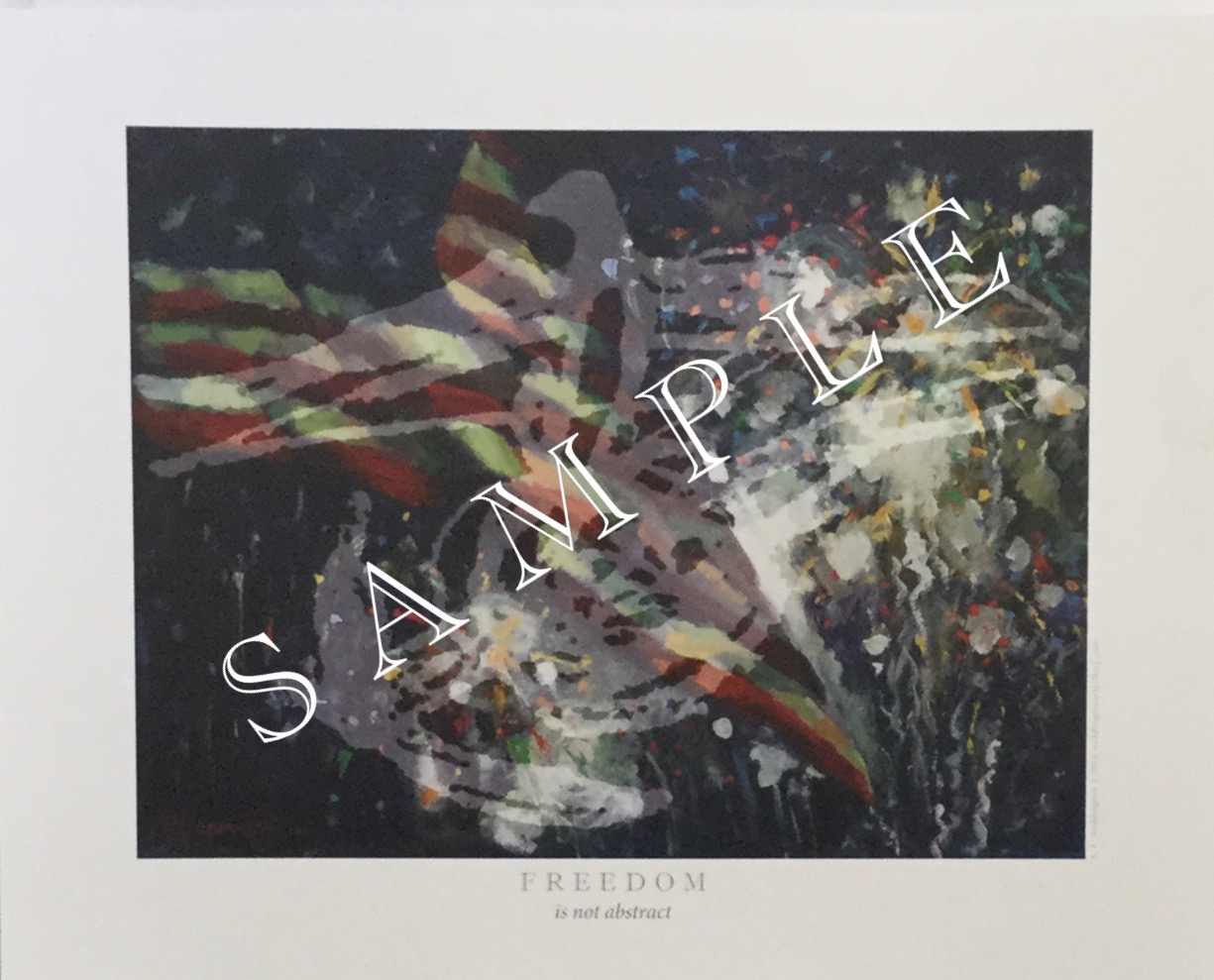 FREEDOM is not abstract - Flag 1