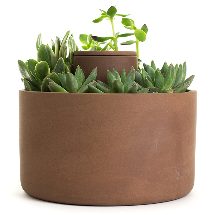 SelfWatering Terracotta Planter Poppytalk