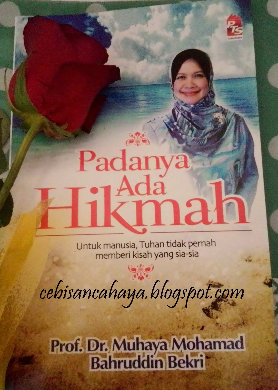 Buku cik cebisan cahaya