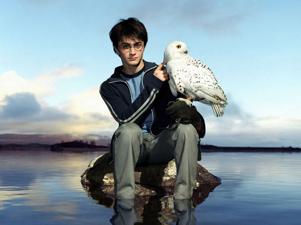 Daniel+radcliffe+2011+hot