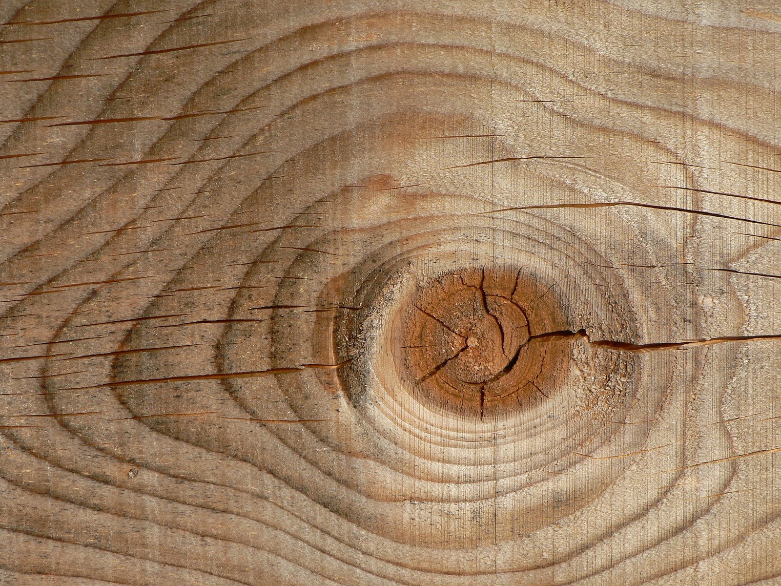 Madera