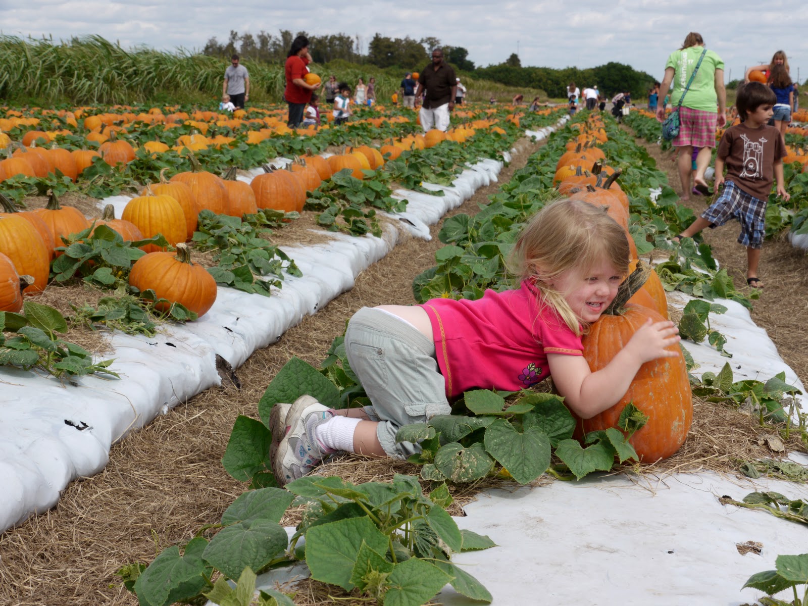 Keeping up with Kids Bedner's Farm Fresh Market, Strawberry UPick and