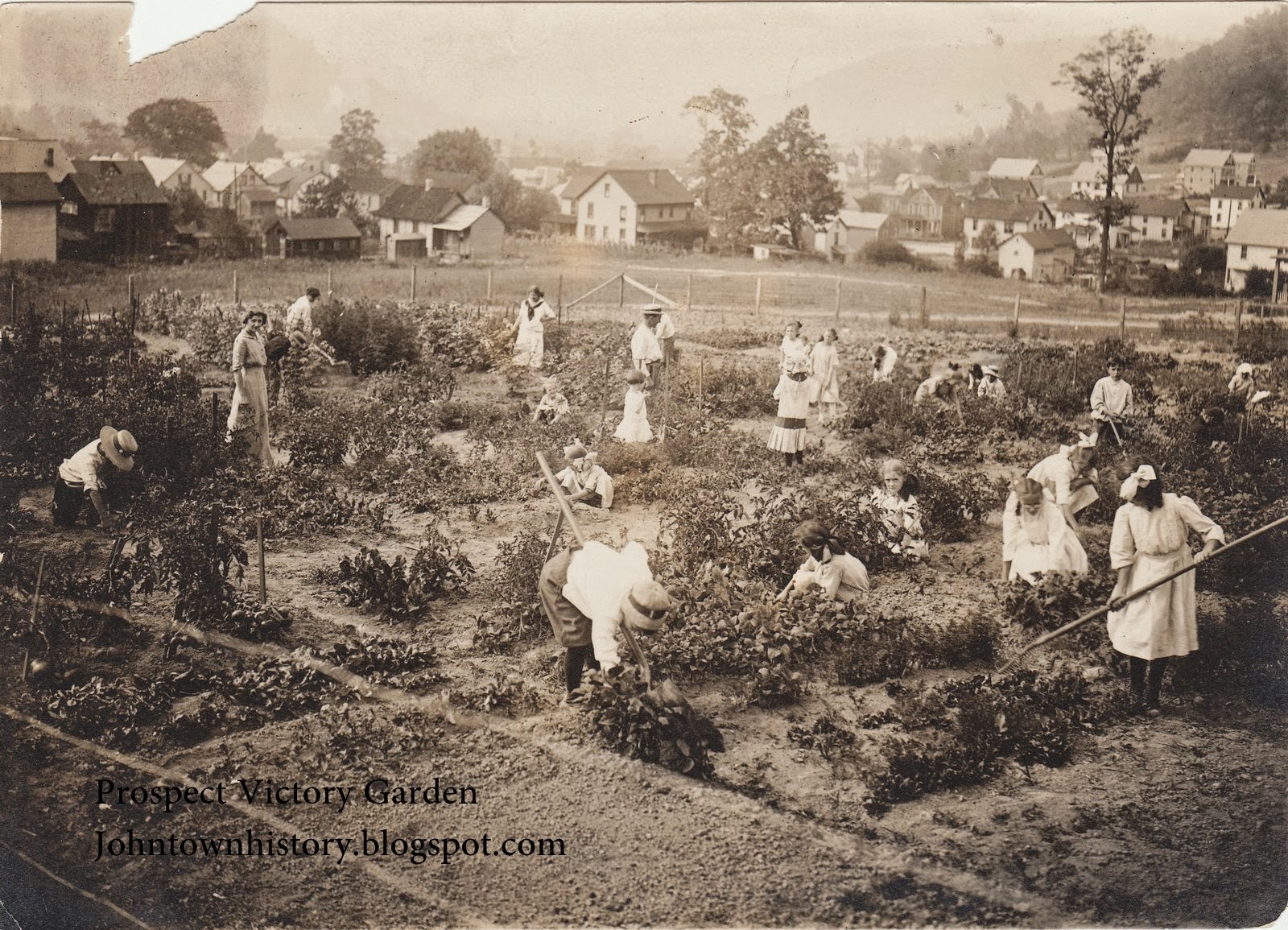 Prospect+War+Garden++1918.jpg 1,600×1,155 pixels Victory garden