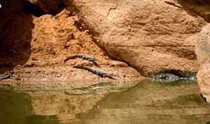 Fuente: http://journals.plos.org/plosone/article?id=10.1371/journal.pone.0014734