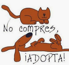 No compres, adopta!