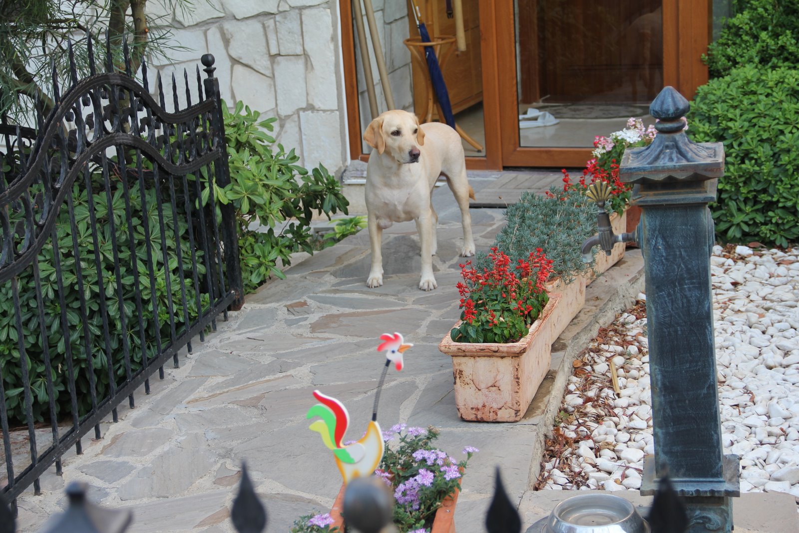 kızlarım&hellip; Bi kedi gördüm sanki