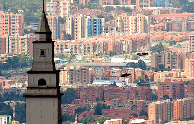 Colombian wingsuiter Jhonathan Florez (L), champion of the Second World Wingsuit Championship and his photographer fly over the Monserate Mountain in Bogota On October 31, 2013