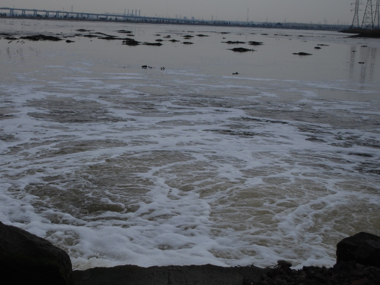 Litton's Fishing Lines Meadowlands Striped Bass Fish Early Season in