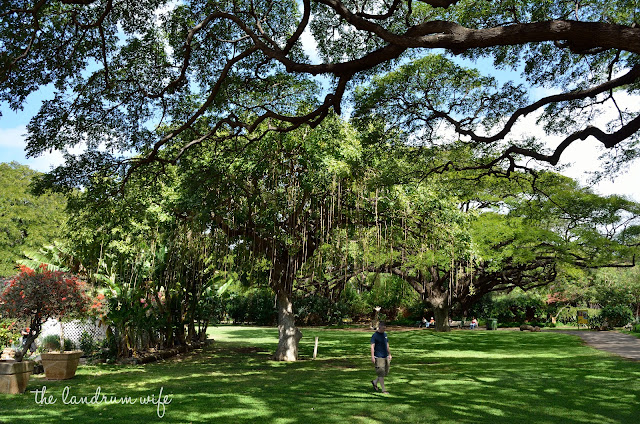 The Landrum Wife: Getting to Know Hawaii: Honolulu Zoo