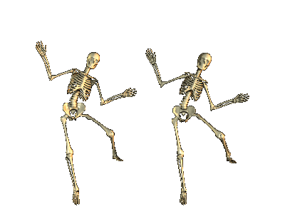 CALAVERA TONTA calavera tonta: