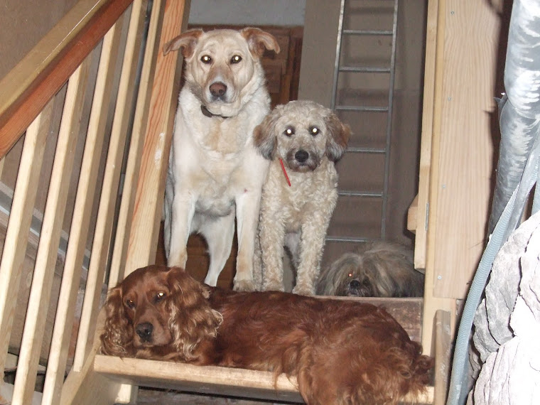 Ici on observe tout ce qui se passe dans la maison, point stratégique...