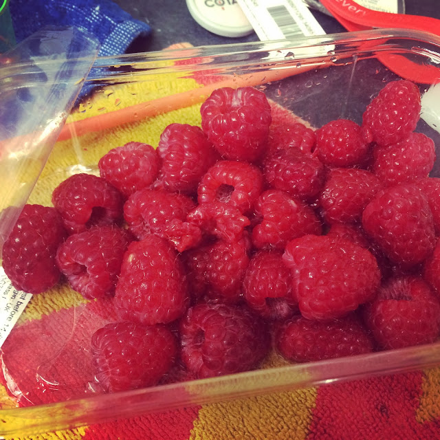 Girl Up North Slimming World Picnic Ideas & Low Syn Scotch Eggs Recipe