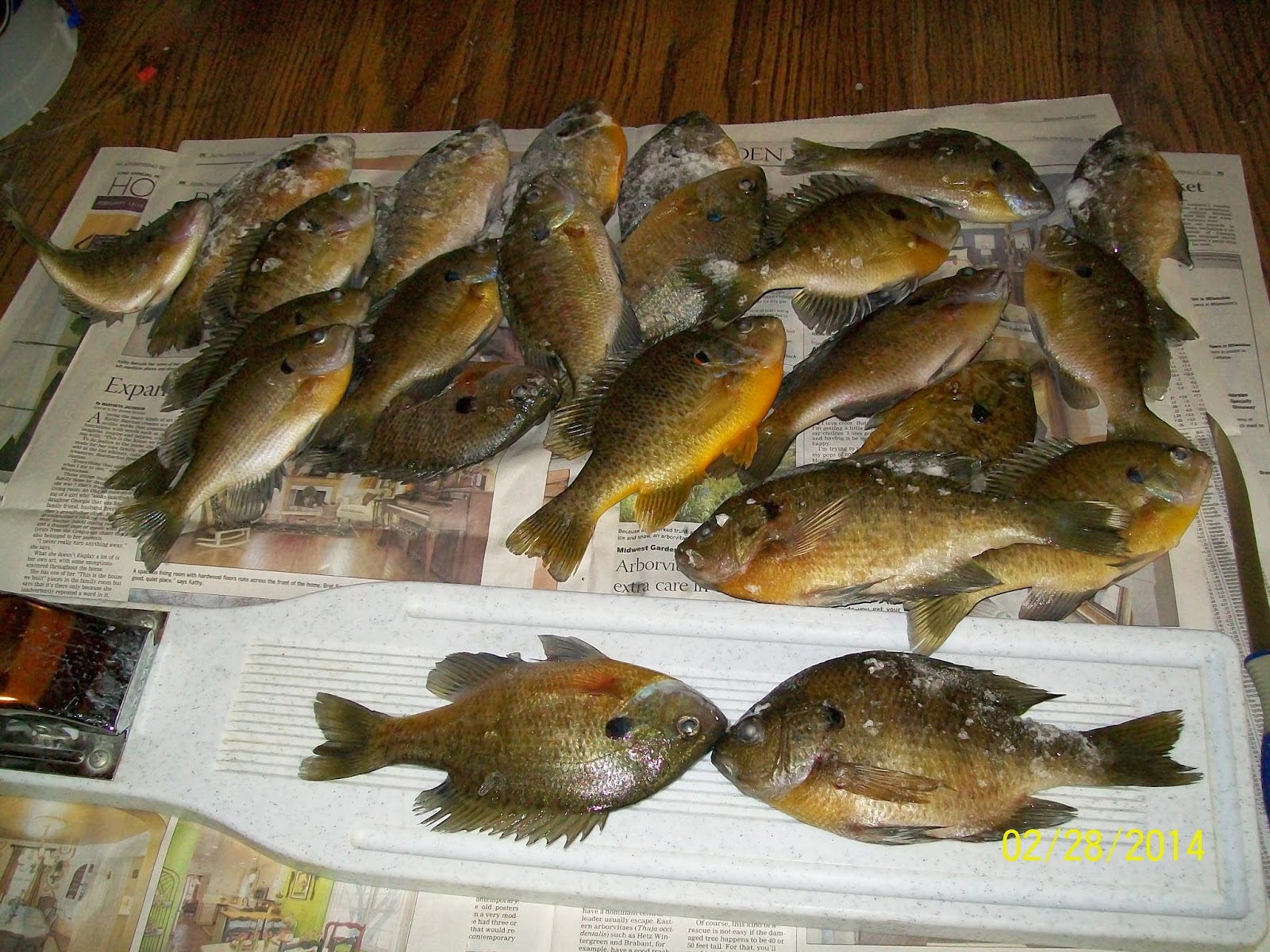 Homestead Survival Journal Ice fishing for food