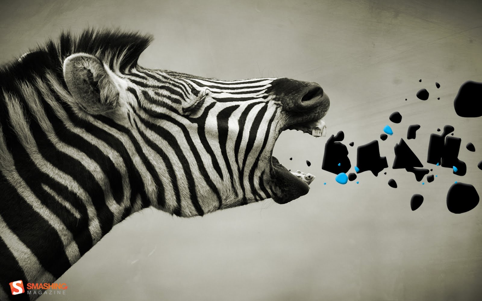 http://4.bp.blogspot.com/-d9o_9iUclyU/Tsu2W963A0I/AAAAAAAABNs/ghGuuoU_0Lc/s1600/Zebra%2Bwallpaper%2Bfor%2Bcomputer1.jpg