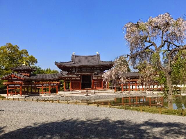残念ながらフジは観られなかったがしだれ桜があった。 残念ながらフジは観られなかったがしだれ桜があった。
