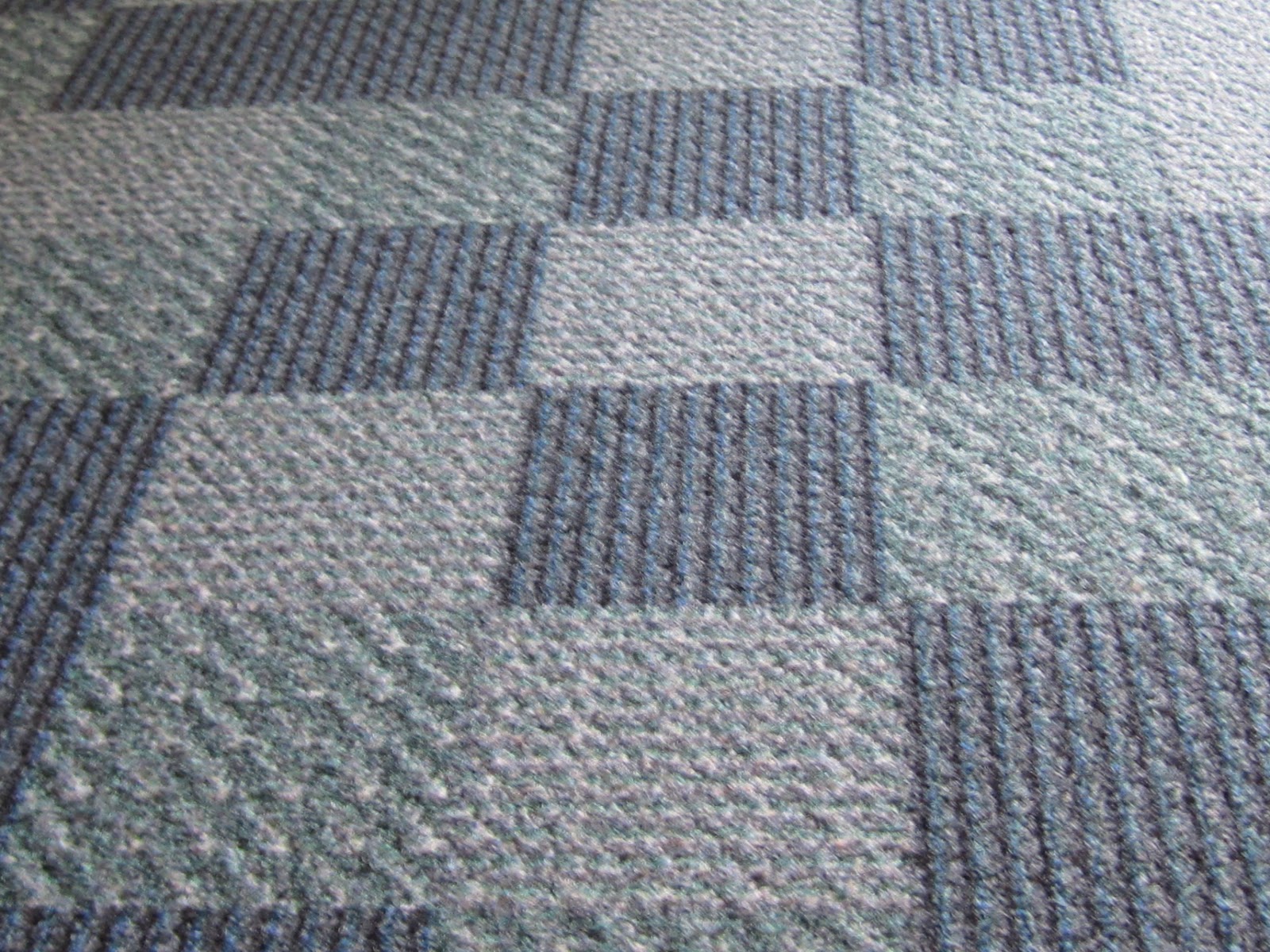 Berkeley Heights Public Library Book Blog The Carpet Squares Have