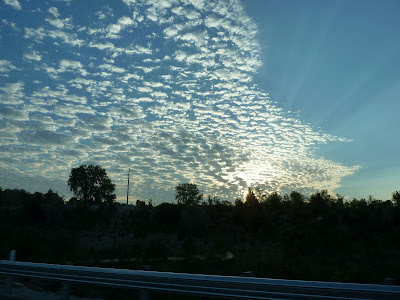 dawn