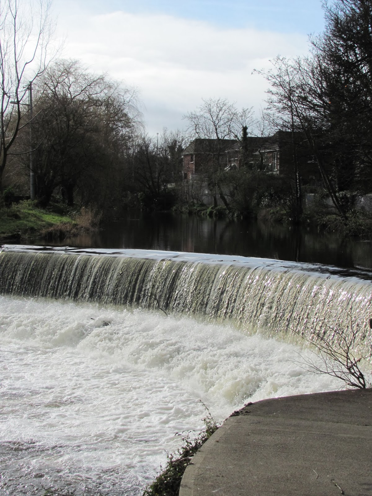 Another of Many Dodder Weirs Another of many Dodder weirs in Dublin