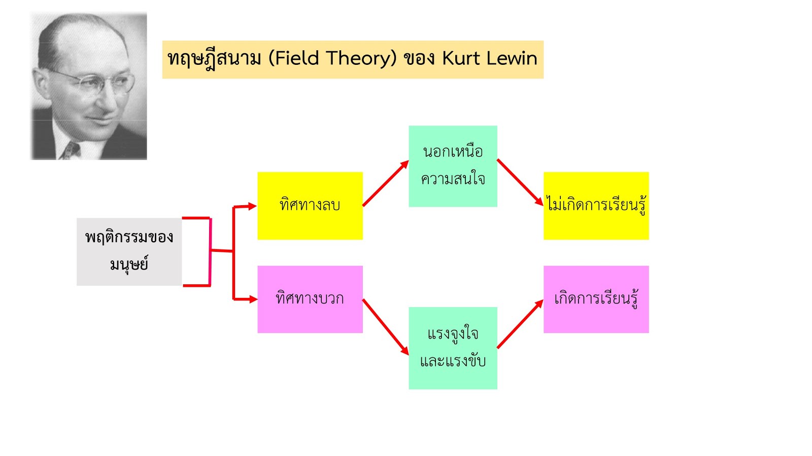 ทฤษฎีสนาม (Field Theory) ของ Kurt Lewin