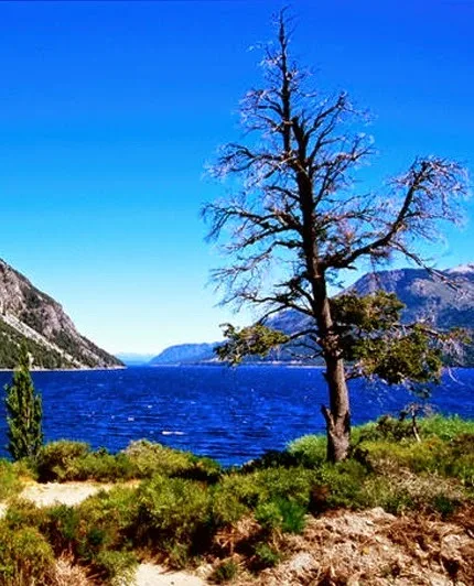 Nahuel Huapi Lake, Argentina