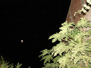 ATENCION-15-03-2012 super avistamientos esferas ET rojas ovni sec.xFito.33.p.