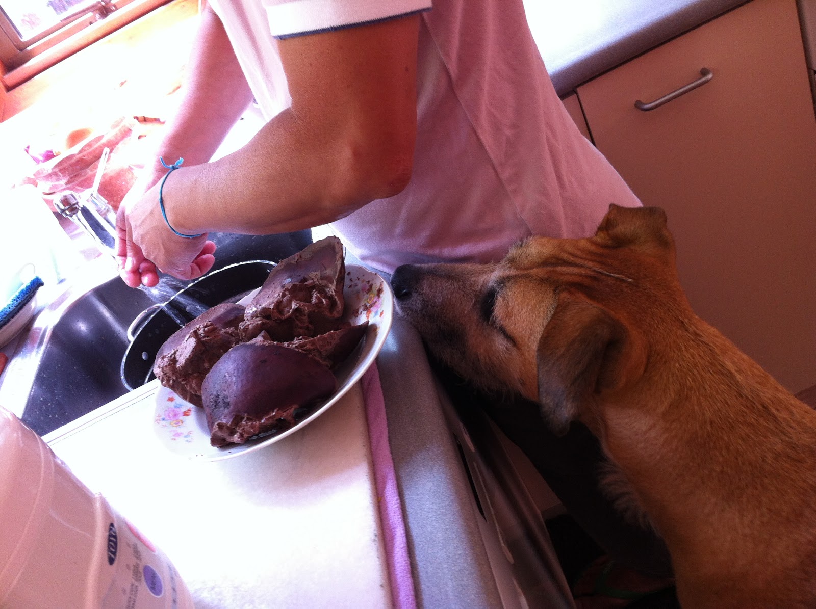 buy offal for dogs