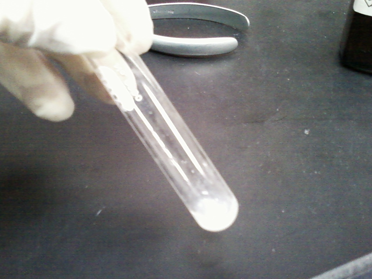 Archaeological Conservation Treating Bronze