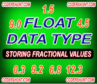 float data type float data type