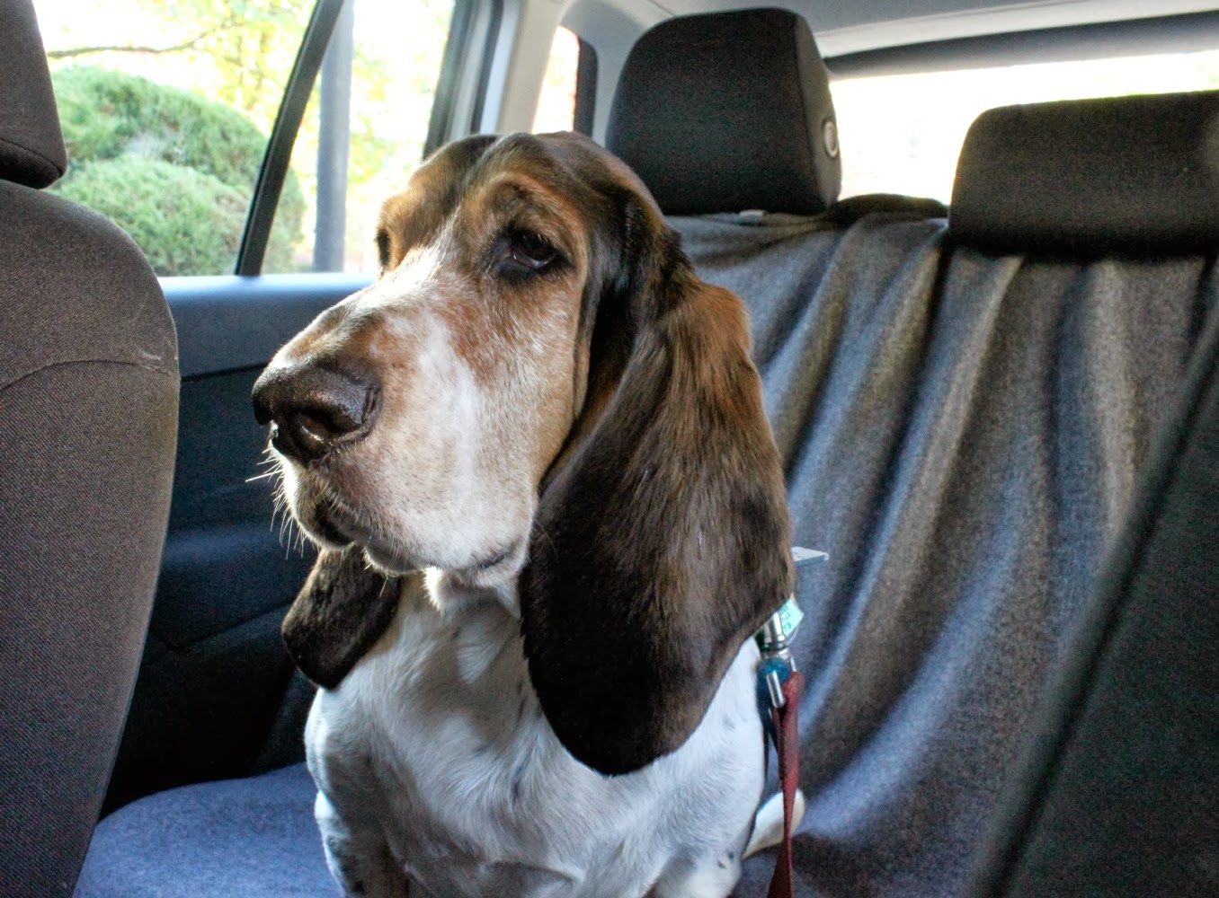 Total Basset Case DIY Dog Car Seat Cover