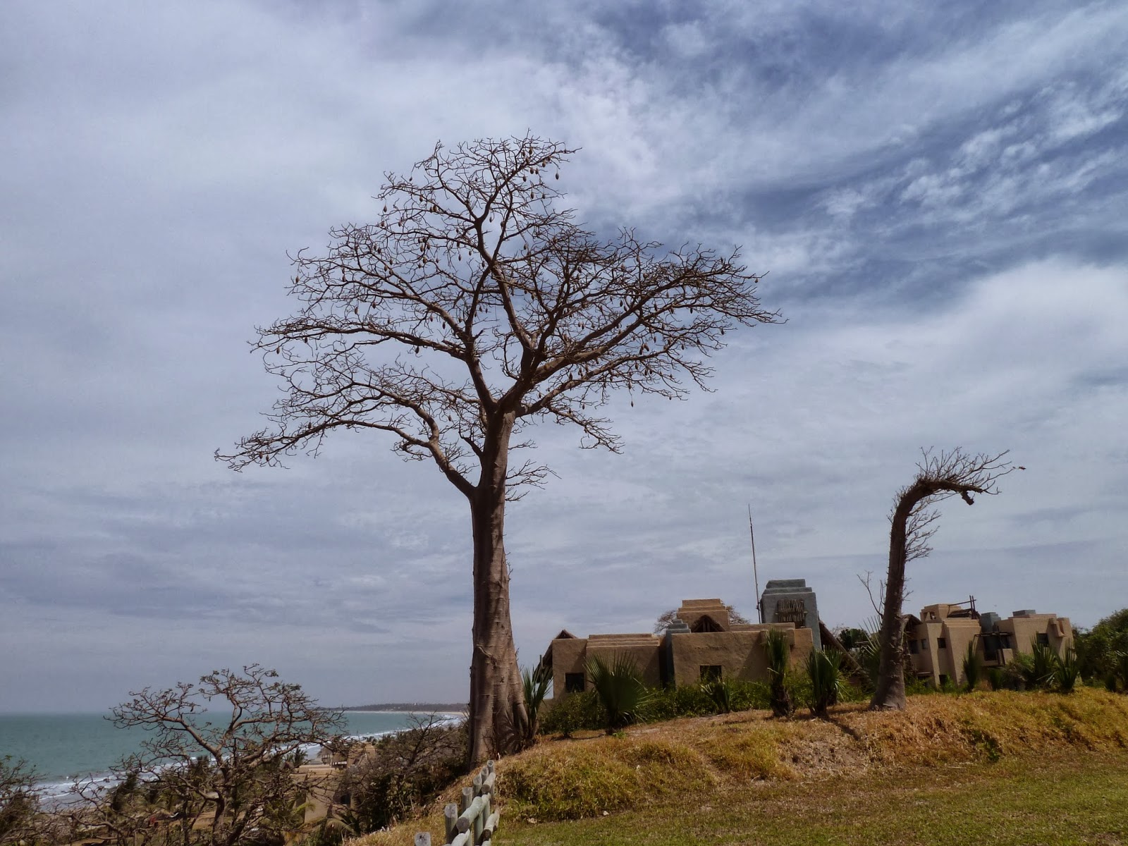 tourisme sexuel en gambie