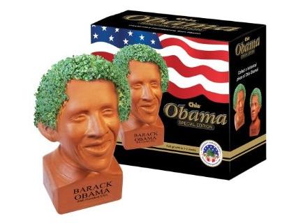 Turtle Chia Pet
