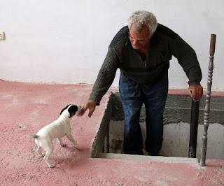 Nikolai loves the puppies, and Louise loves attention Nikolai loves the puppies, and Louise loves attention