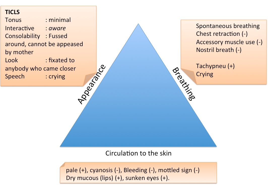 pediatric assessment Nursing assessment is important in the whole nursing process this can be called the base or foundation of the nursing process. pediatric assessment Nursing assessment is important in the whole nursing process this can be called the base or foundation of the nursing process.