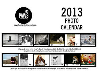 Charity Calendars 2012 on Life Is Art     Art Is Life  The Paws For Charity Art Calendars   2013