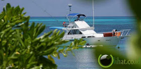 Pulau Guana, Kepulauan Virgin Pulau Guana, Kepulauan Virgin