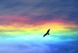 eagle-in-rainbow-sky.png