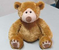The Arc4life ChiroBear- the chiropractic teddy bear