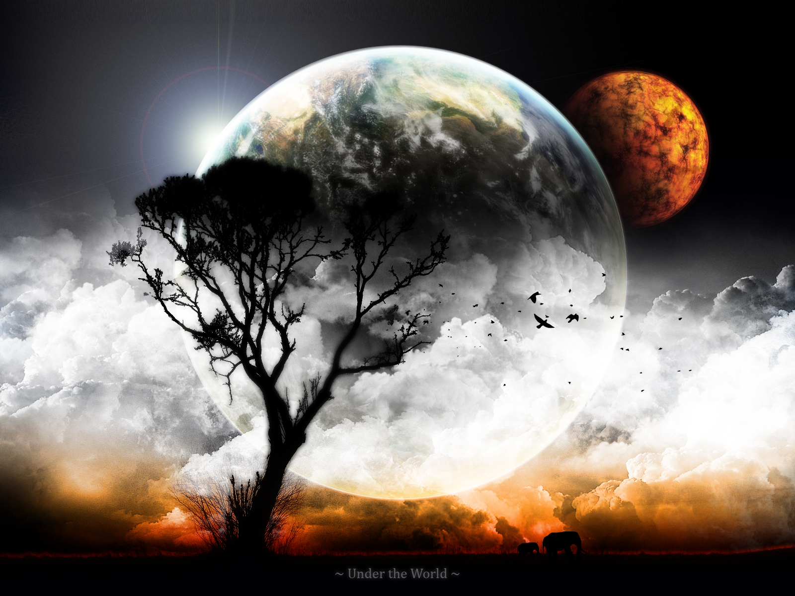 http://4.bp.blogspot.com/-dDyAx-NlW7A/TyqrPO_fDuI/AAAAAAAADX0/yMHDLS0IBg0/s1600/World-HD-wallpaper-download.jpg