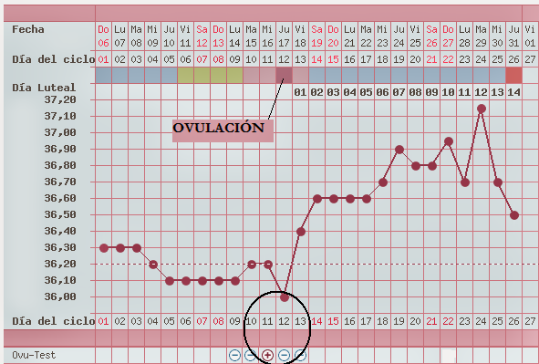 El cirujano vascular flebolog perm