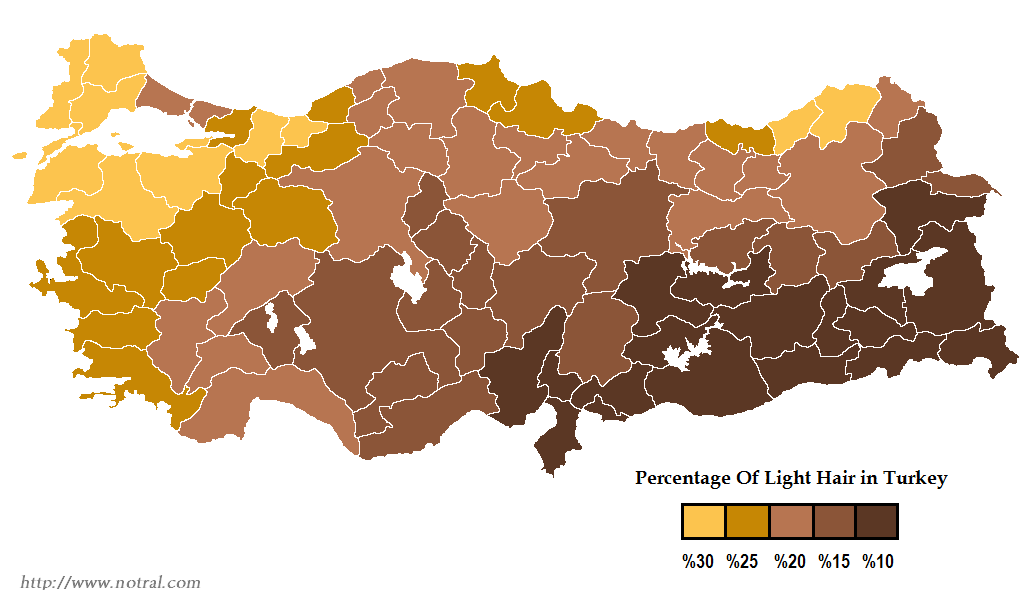 turkeyta.png
