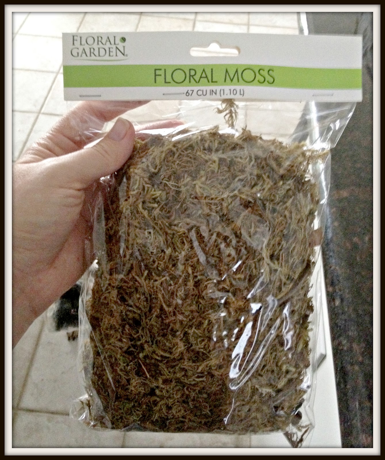 Engineering Life and Style Spring Sneak Peak ;)