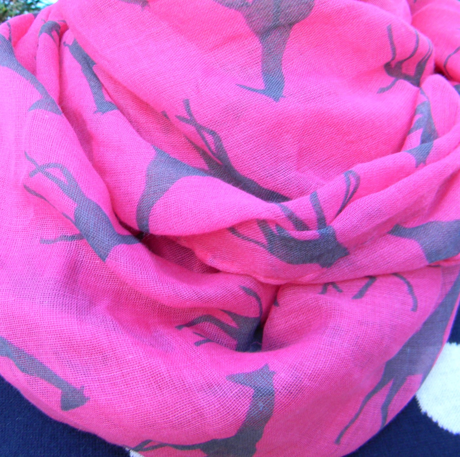 http://4.bp.blogspot.com/-dEjsLBq4Nb8/T0g4jROLYCI/AAAAAAAABqM/O5Wzj5kHCVM/s1600/2.24.12+Hot+Pink+Giraffe+Scarf+Close+Up.jpg