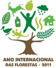 2011 - ano internacional das florestas