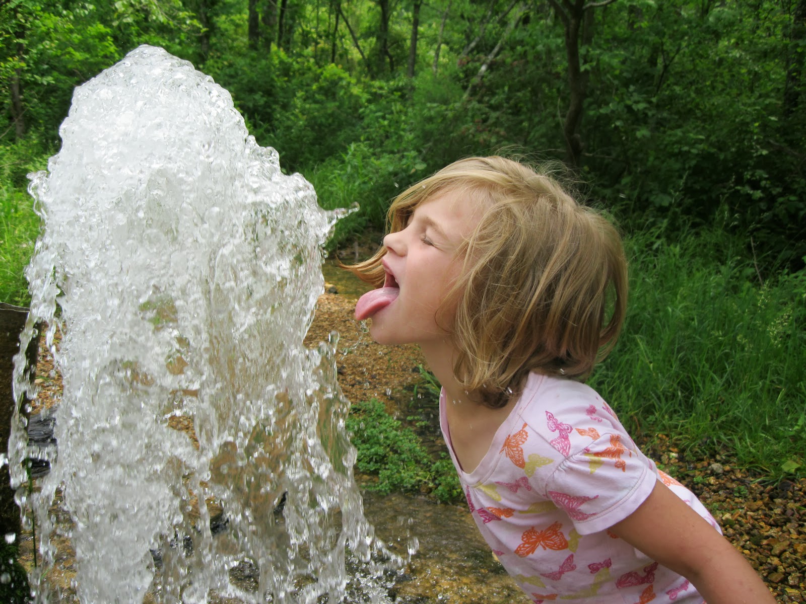 The Missouri Mom Photos of Sycamore Valley Artesian near Marquand, MO