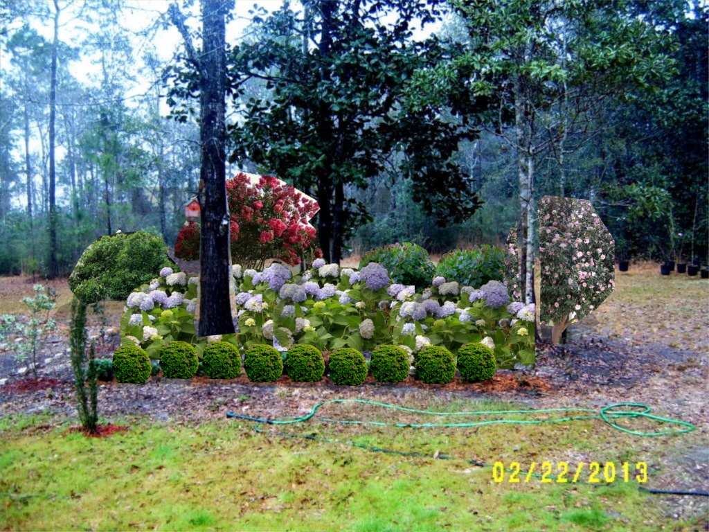 Backyard Rose Garden Backyard Rose Garden